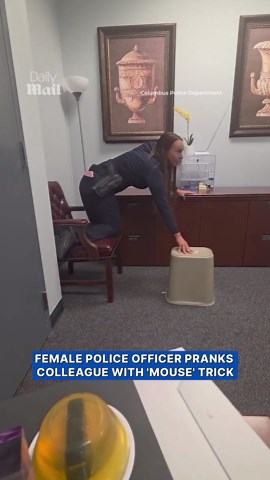 Police officer pranks colleague with fake mouse scare