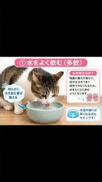 This could change the lifespan of cats...!?