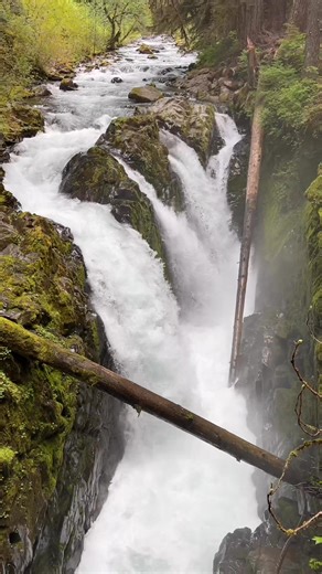 3.8K views · 51 reactions | One of the best spots in Olympic National Park is at this roaring waterfall called Sol Duc Falls! It’s amazing to see in person! The trail is only 1.6 miles round trip. Don’t miss it!!  #waterfalls #nationalparks | Bill On The Road | Facebook