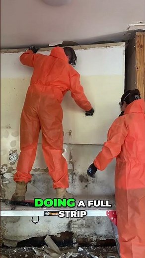 Mould Removal - The BEST Methods and Techniques