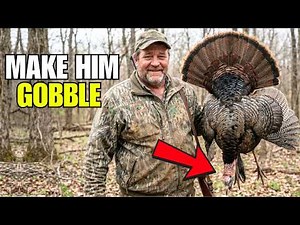 April Turkey Hunting Tactics to Kill More Toms — Know the Stages Before Season Ends