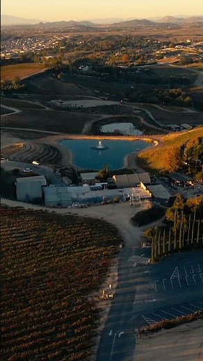 This Is Your Sign to Visit Mount Palomar Winery