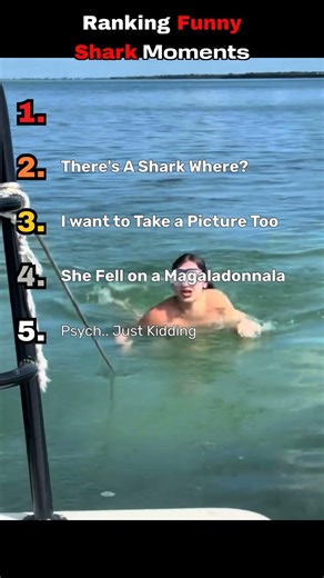 Ranking Funniest Shark Moments #sharks #funny #shorts