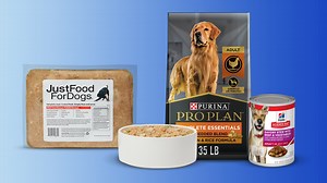 12 Best Dog Foods in 2026, Vet Recommended | Chewy