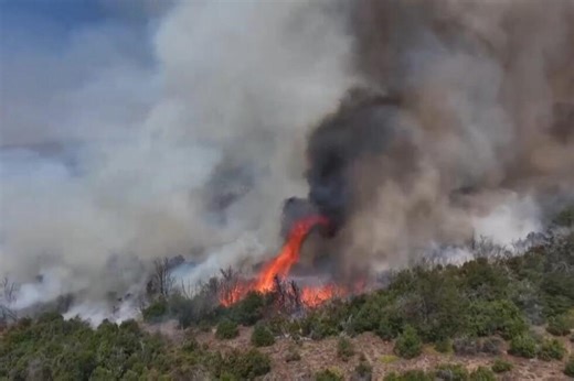 Climate change set the stage for devastating wildfires in Argentina and Chile, study finds