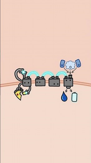 Most organisms use oxygen to generate energy - for good reasons!