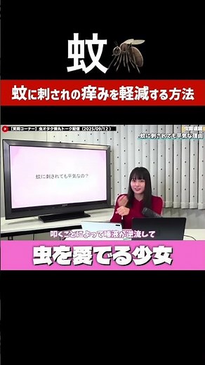 蚊に刺されの痒みを軽減する方法を虫オタクが解説#shorts#片田陽依 #虫オタク#自然