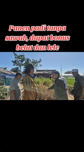 Panen padi tanpa sawah: cara dapat bonus belut dan lele
