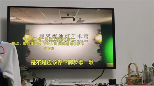 我不知道怎么形容。