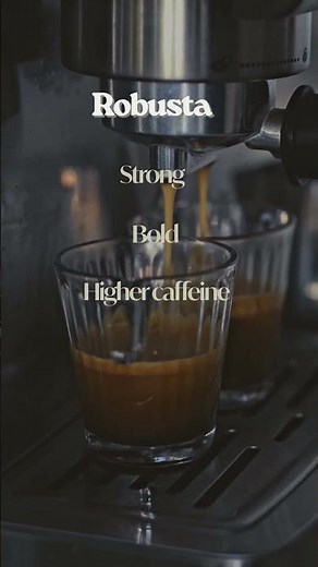 Arabica vs Robusta Coffee Explained (Beginner Guide ☕)
