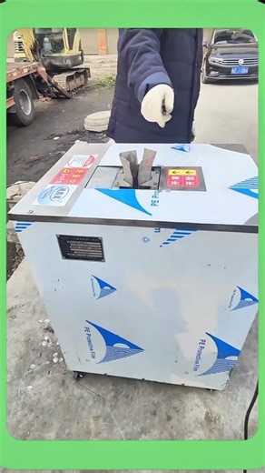 Advanced Fish Cleaning Machine in Action