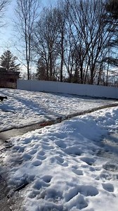 10K views · 1.4K reactions | Spring fevah... until tomorrow when it's freezin' again. | Wrigley, Bauer, Kobe, and Sophie Boxer | Facebook