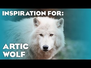 7 More Real Arctic Wolf Habitats! (Planet Zoo Inspiration)