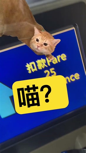 刷卡竟然發出喵叫聲？我以為聽錯了The card swipe made a meowing sound? I thought I misheard. カードをスワイプした時に猫の鳴き声がした？