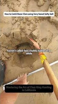 How to Catch Razor Clam using Very Sweat Salty Salt