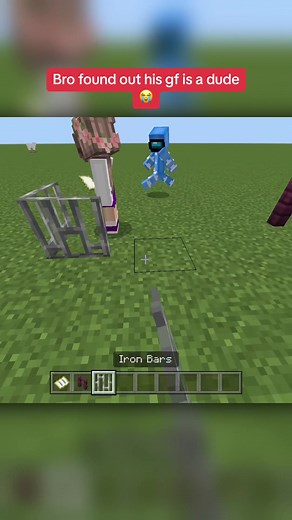 Minecraft Girlfriend Jail Prank Gone Wrong | Trolling Memes