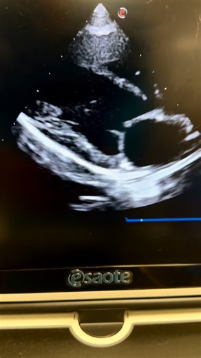 Interested in learning ultrasound or fine tuning your skills? We offer both in person and online courses! For more information and to register, visit www.waveveted.com #waveveted #teamwave #veterinaryeducation #RACEapproved | WAVE: We Are Veterinary Education