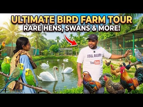 Ultimate Bird Farm Tour: Rare Hens, Swans & More!