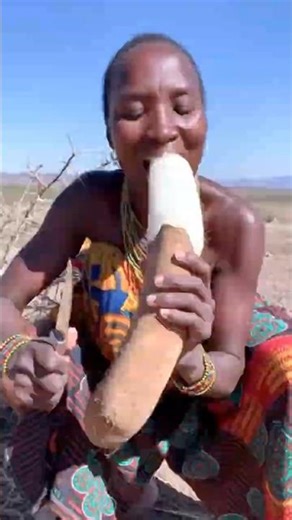 Mandinka Survival Skill: Finding Water Plant in Sahara! 💧#triballife #tribalfood