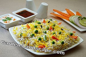 Garden Practice: 7 Delicious mint varieties presented | 2025