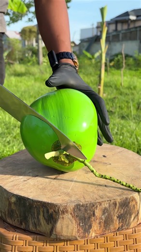 The Cleanest Green Coconut Cut You’ll Ever See