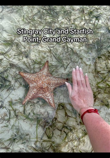 An excursion you don’t want to miss out on in Grand Cayman 🇰🇾 #grandcayman #caribbeanexperiences #caymanislandstrip #bucketlisttravel #cruiseexcursion