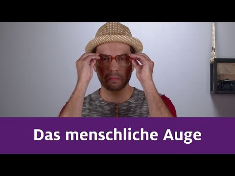 Das menschliche Auge