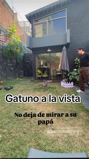 Gatuno a la Vista: Aaron Mercury's Journey