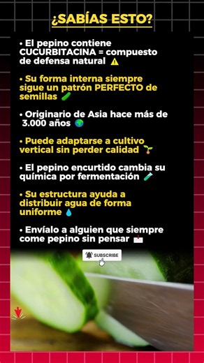 7 secretos del pepino que te dejarán en shock 😱🥒