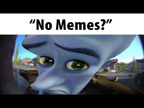 No Memes?