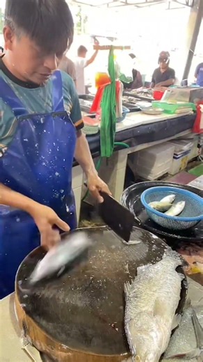 Skipjack Tuna Cutting Skills at the Fish Market #fishcutting #fillet #shorts #skills #asmr