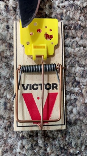 Most people don’t know mouse traps have this setting