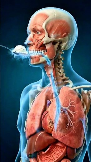 What Happens Inside Your Body When You Eat Ice Cream After Dinner