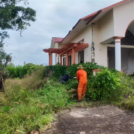 208K views · 6.5K reactions | After 5 Years Away, He Returned to Find His $200,000 Home Taken Over by Nature — Watch the Incredible Cleanup#CleanupTransformation #RestorationProject #SatisfyingCleanUp #NatureReclaims #BeforeAndAfter | Clean The Old House | Facebook