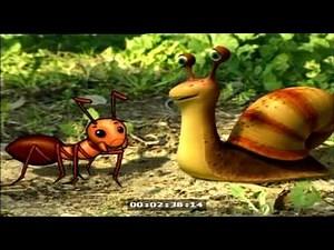 mr snail the lost shell