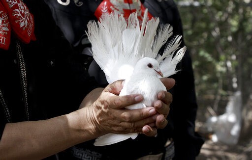 Dayton Peace Museum to present new entry in speaker series