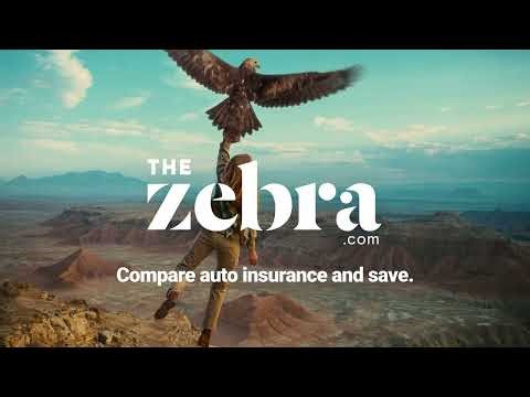 Find a Lower Car Insurance Rate Today | The Zebra