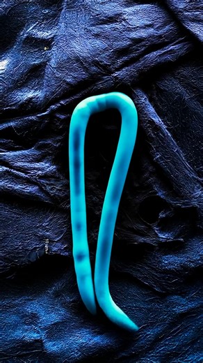 What's happening to our beech trees?! #nhhabitathappenings #Wildlife #conservation #stewardship #NewHampshire #landstewardship #habitat #forests #forestmanagement #TreeHealth #ForestPests | NH Fish and Game