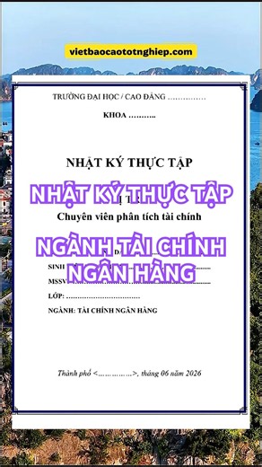 ▶️ Nhật ký thực tập dành cho sinh viên Ngành Tài chính Ngân hàng #vietbaocaototnghiep.com