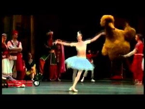 WSRE | Big Bird and Girl (spot)