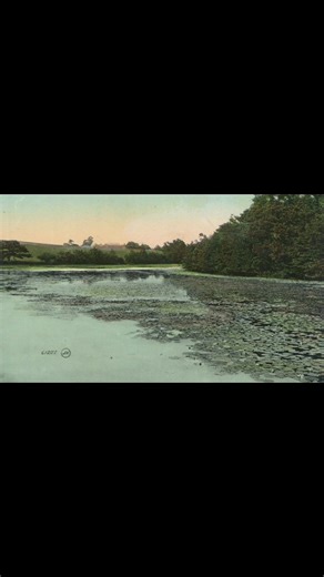 Then & Now – Site of the Mill Ponds north of Cranbrook Road Tenterden. There was a Roman road from Benenden through St. Michaels to Ashford and Canterbury, with a branch from the John Wallis Church of England Academy at Ashford to Lympne (old Roman port). The Roman surface - iron slag - is just below the modern surface of the lane between Parkgate and the Millpond, and Grange Road is on top of the Roman road. The Romans had important iron works near Brede in Sussex and built roads to take the ir