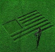 The Environmental impact of Lawns