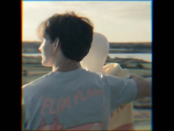 Flamingo Lore of Albert: An Emotional Journey