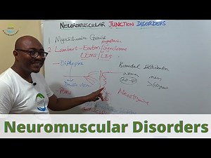 Myasthenia Gravis | Lambert-Eaton Syndrome