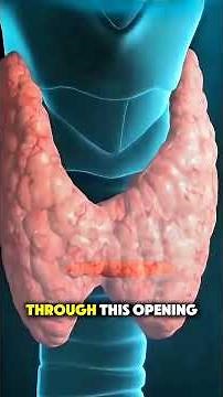 How Thyroidectomy Is Done (3D Animation) | Thyroid Surgery Explained