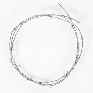 [Hot Item] Electric Galvanized Barbed Wire/Barbed Wire Fencing /14 Gauge *12 Gauge PVC Coated Barbed Wire