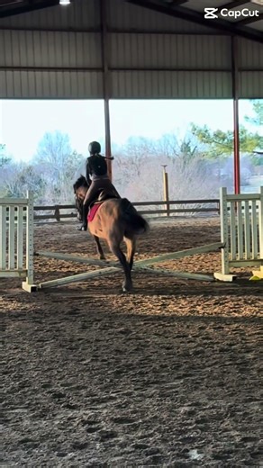 First time jumping Timmy!!! #horseride #fypシ
