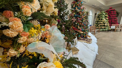 Explore indoor winter magic during Hershey Gardens Christmas tree walk