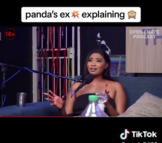 Understanding Panda's Ex: Insights from the Podcast