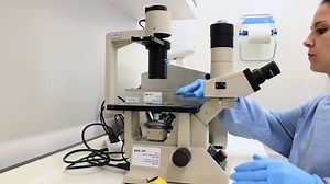 Interfacing Microfluidics with Microelectrode Arrays for Studying Neuronal Communication and Axonal Signal Propagation